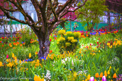 Pilgrimage to Giverny - Monet's House & Garden