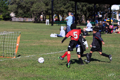 _MG_3342.jpg