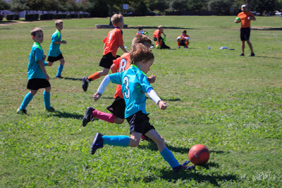 _MG_3640.jpg
