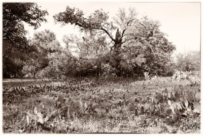 Boot Hill