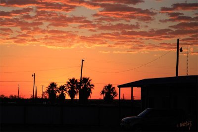 I do parkin' lot landscapes.jpg
