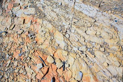 Terlingua Tile Flooring.jpg