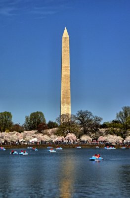 cherry_blossom_ride-13apr15