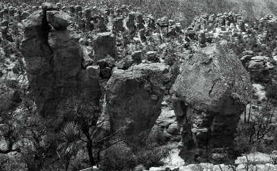 Chiricahuas rock columns 