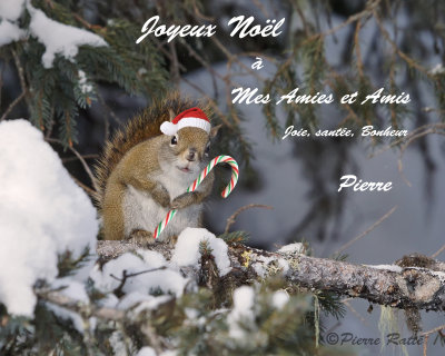 Joyeux Noel,