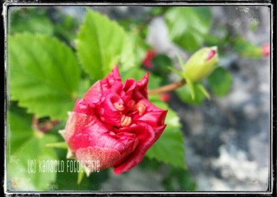 g9/43/897743/3/152331491.dxbPBYKH.jpg