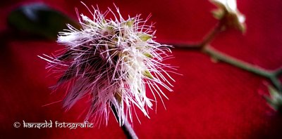 2013-01-28 09:40