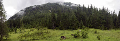 7A4A0607-Pano.jpg
