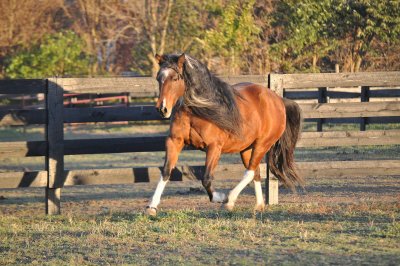 smallersmallpicDSC_1924.jpg