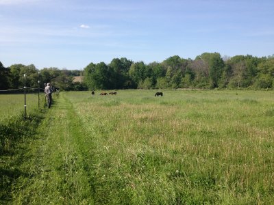 pastures