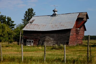 IMG_7751.jpg