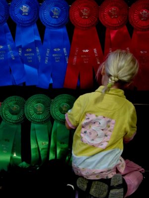 mn_state_fair_13