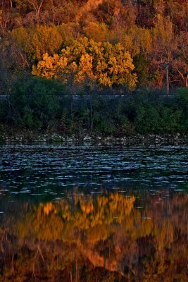 IMG_8913.jpg