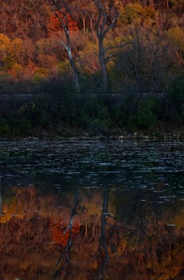 IMG_8914.jpg