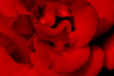 IMG_4381.jpg