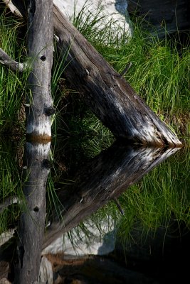 IMG_4661.jpg