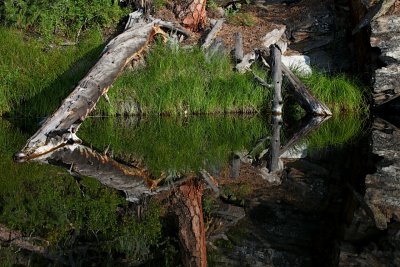 IMG_4662.jpg