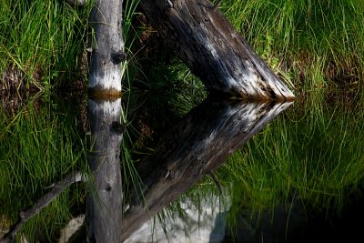 IMG_4675.jpg