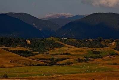 IMG_4804.jpg