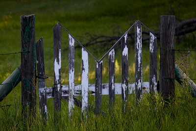 IMG_5038.jpg