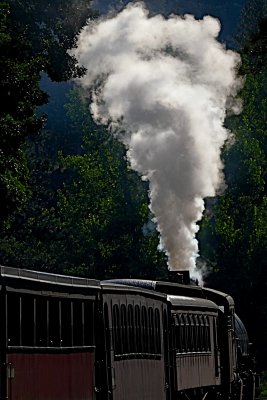 IMG_5079.jpg