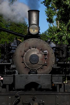 IMG_5095.jpg