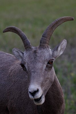 IMG_5478.jpg