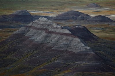 IMG_5549.jpg