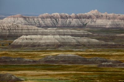 IMG_5582.jpg