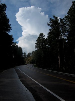IMG_7880.jpg