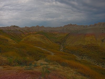 IMG_8247.jpg