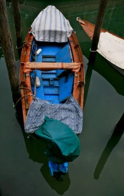 IMG_5939.jpg