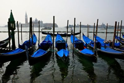 IMG_6017.jpg