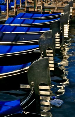 IMG_6588.jpg