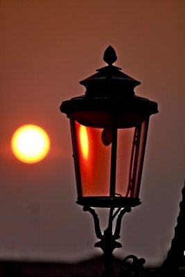 IMG_6781.jpg