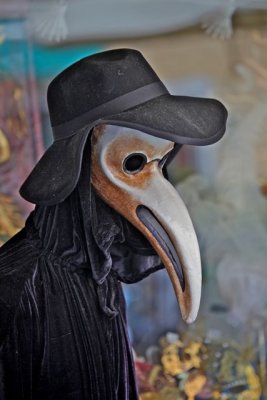IMG_7130.jpg