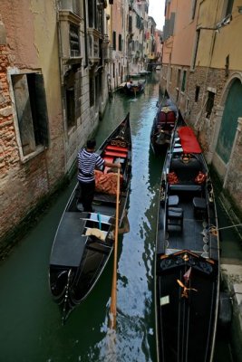 IMG_7273.jpg