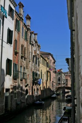 IMG_7305.jpg