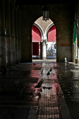 IMG_7397.jpg