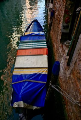 IMG_7463.jpg