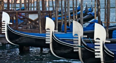 IMG_7915.jpg