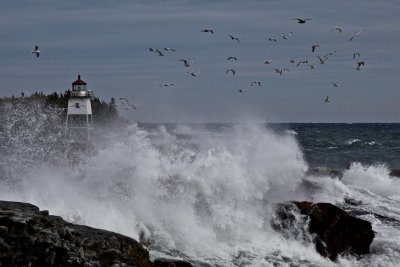IMG_0030.jpg