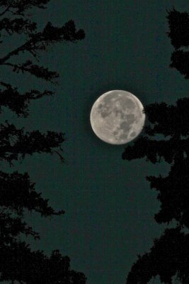 IMG_0470.jpg