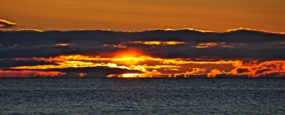 IMG_0492.jpg
