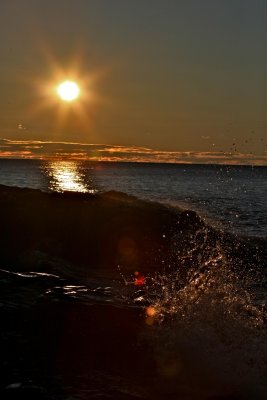 IMG_0513.jpg
