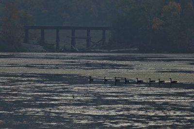 IMG_9932.jpg