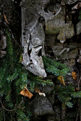 IMG_9958.jpg
