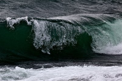 IMG_9985.jpg