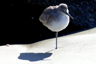 IMG_6973.jpg