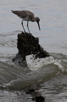 IMG_7569.jpg